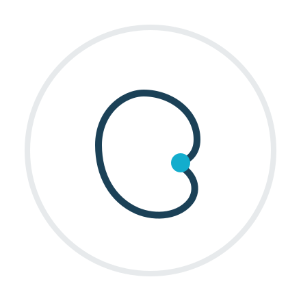 Icône urologie